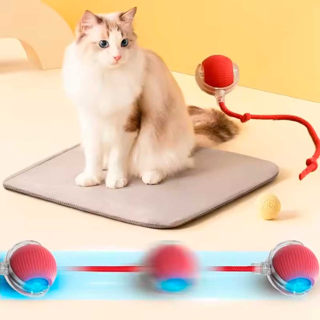 Pelota interactiva automática para gatos y perros