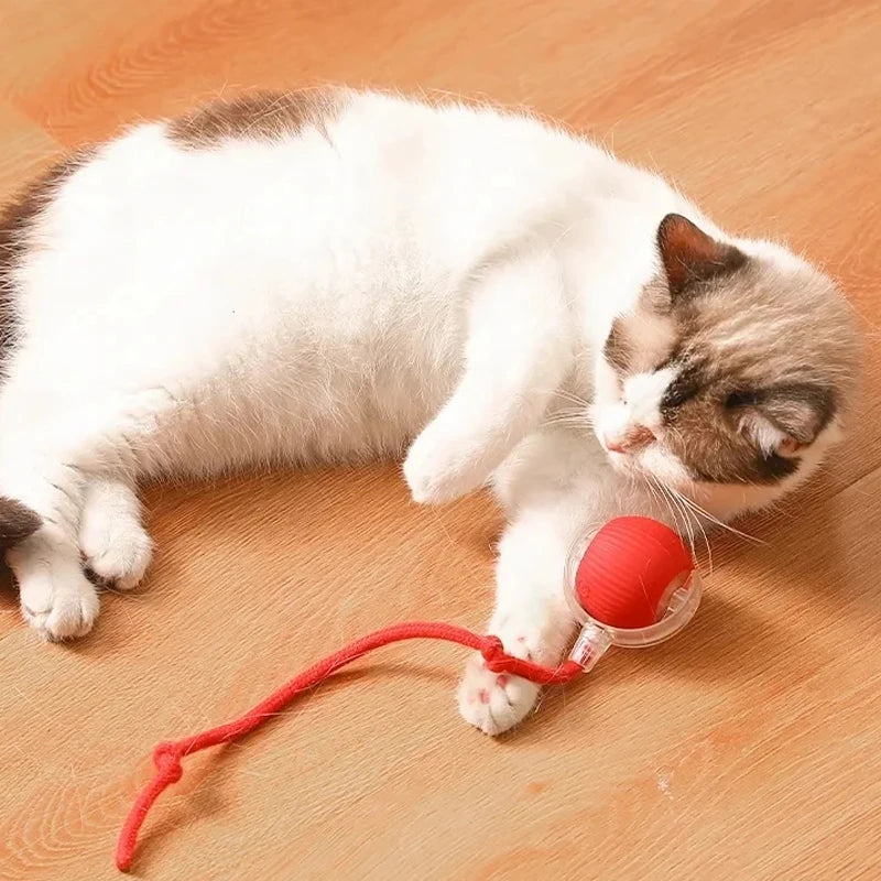 Pelota interactiva automática para gatos y perros