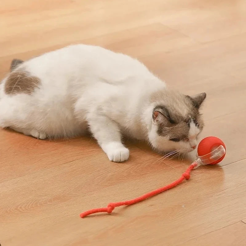 Pelota interactiva automática para gatos y perros