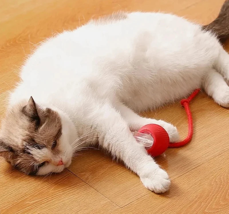 Pelota interactiva automática para gatos y perros