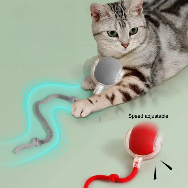Pelota interactiva automática para gatos y perros