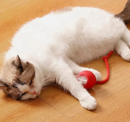 Pelota interactiva automática para gatos y perros