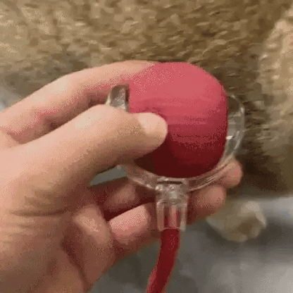 Pelota interactiva automática para gatos y perros