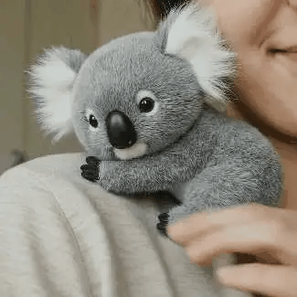 Mimitos Peluches Abrazables