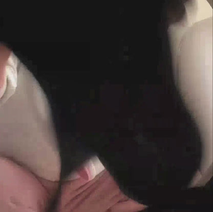 Paños Mágicos Super Absorbentes